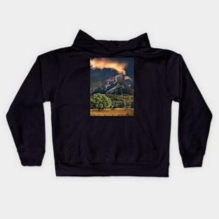 Field of Trees Kids Hoodie